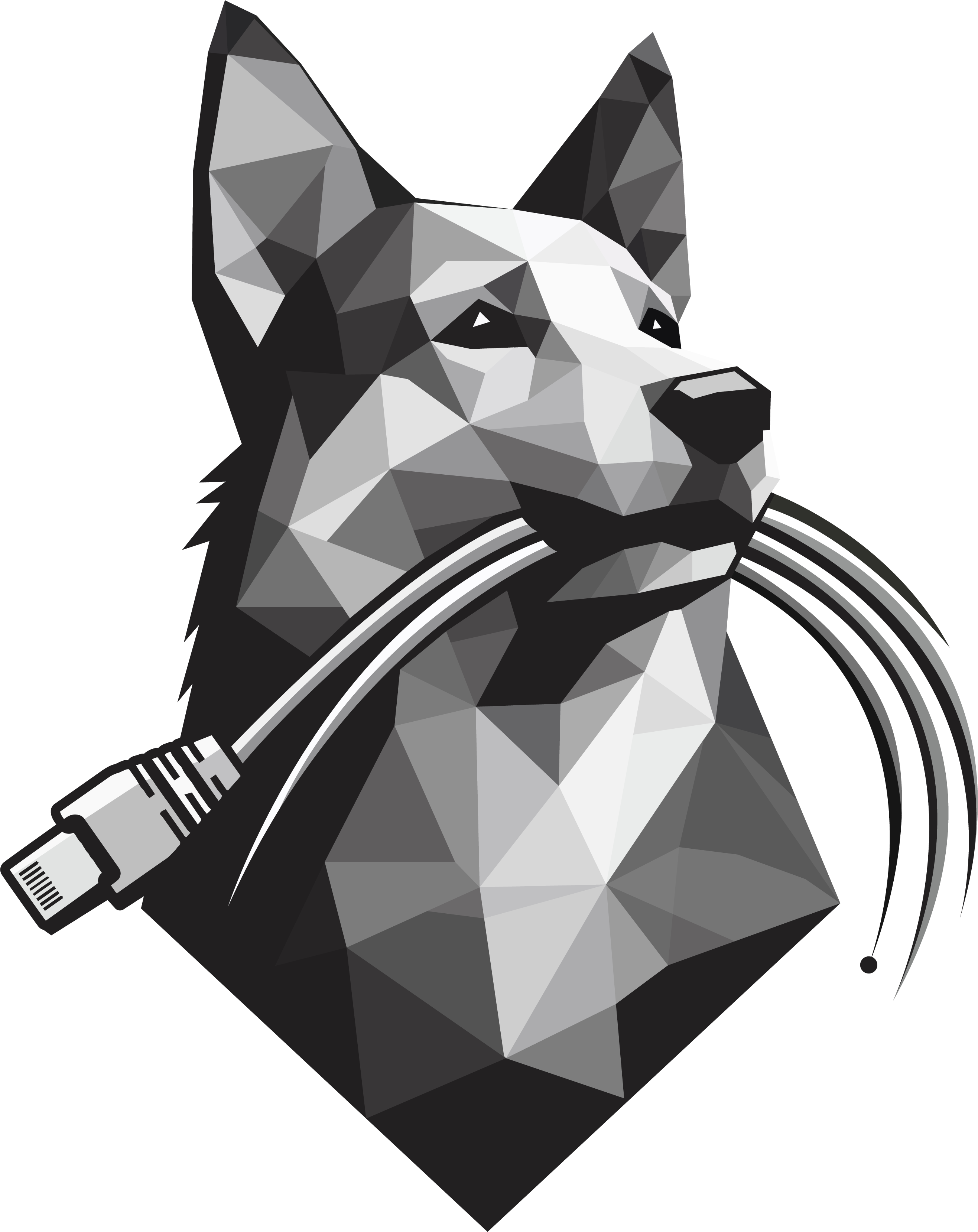 Domotica, Wifi & Camerabewaking | MJON Mike Jonckheere | Ardooie